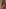 Interracial Spinners XXX (2024) [18+]